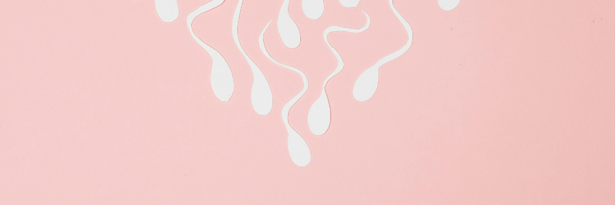 Sexual Health & Fertility